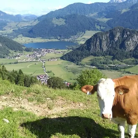 维尔曾霍夫酒店 瓦尔赫湖
