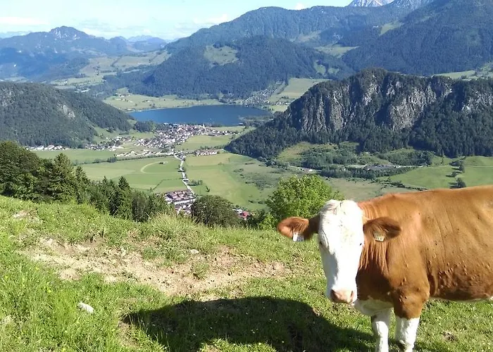 Welzenhof Вальхзе