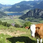 Welzenhof Walchsee