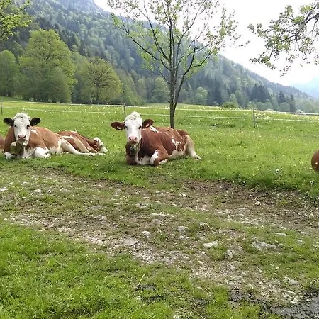 Penzion Welzenhof 3*