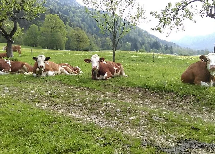 Gasthof Welzenhof 3*